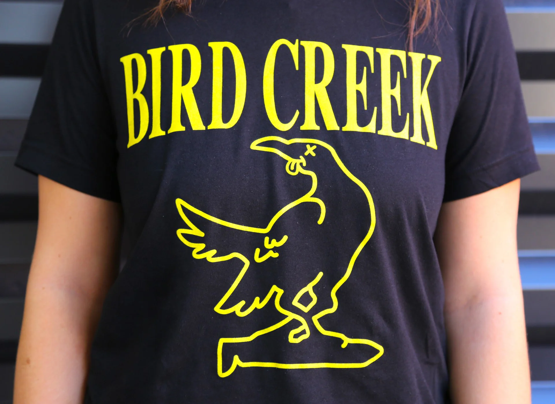 Nirvana Bird Tee