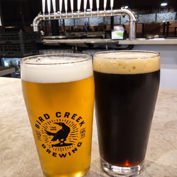 Two beers, a light Bird Creek Brewing and a dark stout, sit on a bar counter.