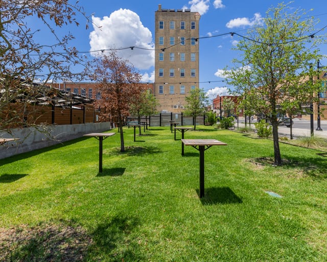 The Lawn